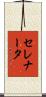 セレナータ Scroll