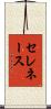 セレネース Scroll