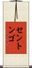 セントンゴ Scroll
