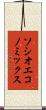ソシオエコノミックス Scroll