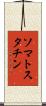 ソマトスタチン Scroll
