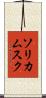 ソリカムスク Scroll