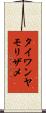 タイワンヤモリザメ Scroll