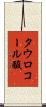 タウロコール酸 Scroll