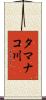 タマナコ川 Scroll