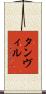 Tanvir Scroll