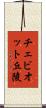 チェビオット丘陵 Scroll