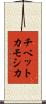 チベットカモシカ Scroll