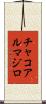 チャコアルマジロ Scroll