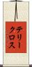 テリークロス Scroll