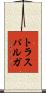 トラスパルガ Scroll