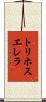 トリホスエレラ Scroll