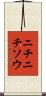 ニチニチソウ Scroll