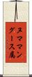 ヌママングース属 Scroll