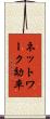 ネットワーク効率 Scroll