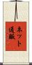 ネット通販 Scroll