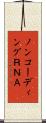 ノンコーディングＲＮＡ Scroll