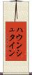 ハウンシュタイン Scroll