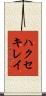 ハクセキレイ Scroll