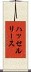 ハッセルリース Scroll