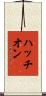 ハッチオン Scroll