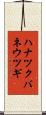 ハナツクバネウツギ Scroll