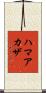 ハマアカザ Scroll