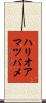 ハリオアマツバメ Scroll