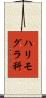 ハリモグラ科 Scroll