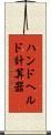 ハンドヘルド計算器 Scroll