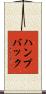 ハンプバック Scroll
