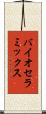 バイオセラミックス Scroll