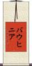 バウヒニア Scroll