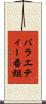 バラエティー番組 Scroll