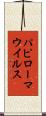 パピローマ・ウイルス Scroll