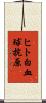 ヒト白血球抗原 Scroll