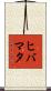 ヒバマタ Scroll