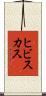 ヒビスカス Scroll