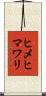 ヒメヒマワリ Scroll