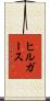 ヒルガース Scroll