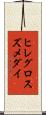 ヒレグロスズメダイ Scroll