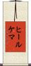 ヒールケマ Scroll