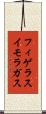 フィゲラスイモラガス Scroll