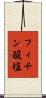 フィチン酸塩 Scroll