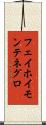 フェイホイモンテネグロ Scroll