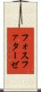 フォスファターゼ Scroll