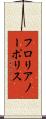 フロリアノーポリス Scroll