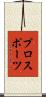 プロスポーツ Scroll