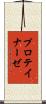プロテイナーゼ Scroll