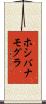 ホシバナモグラ Scroll